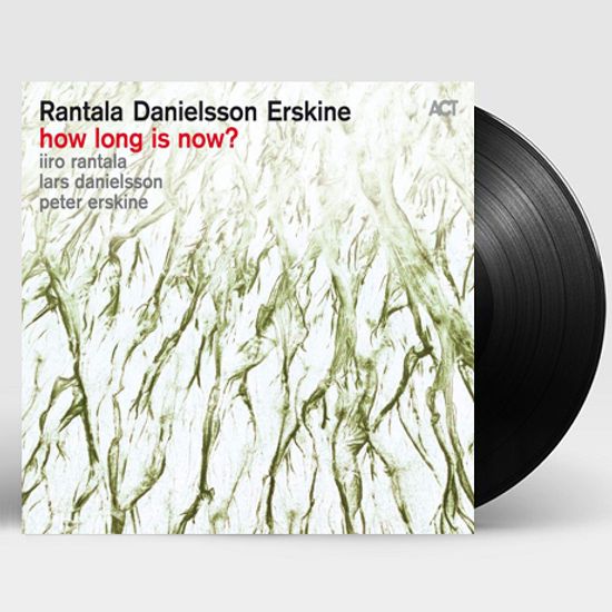 HOW LONG IS NOW? [180G LP]