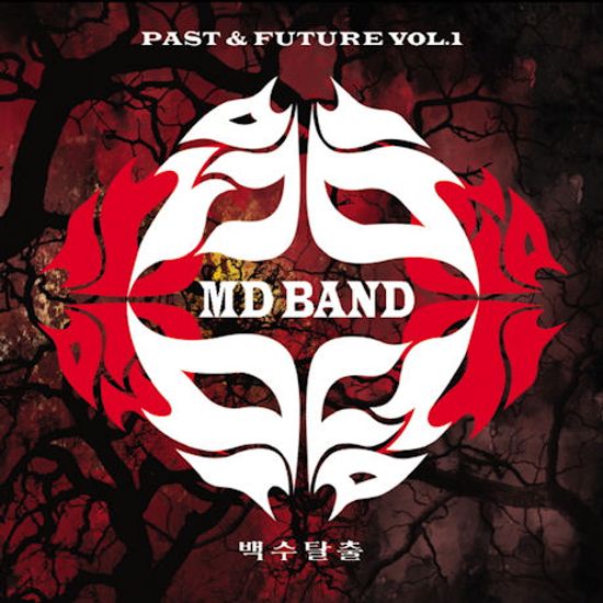PAST & FUTURE VOL.1 [LP 미니어쳐]