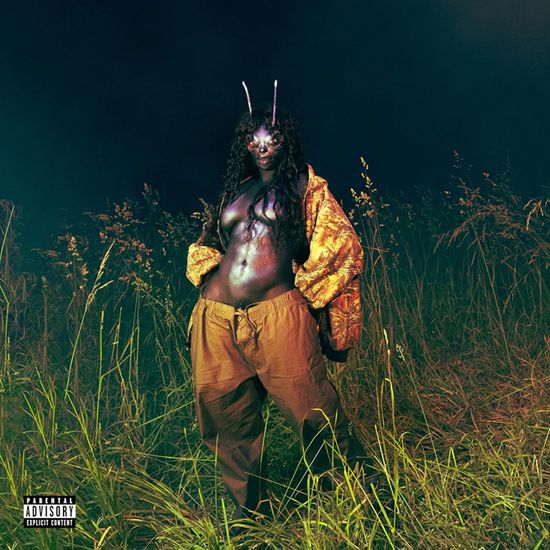 SOS DELUXE: LANA [GREEN LP]