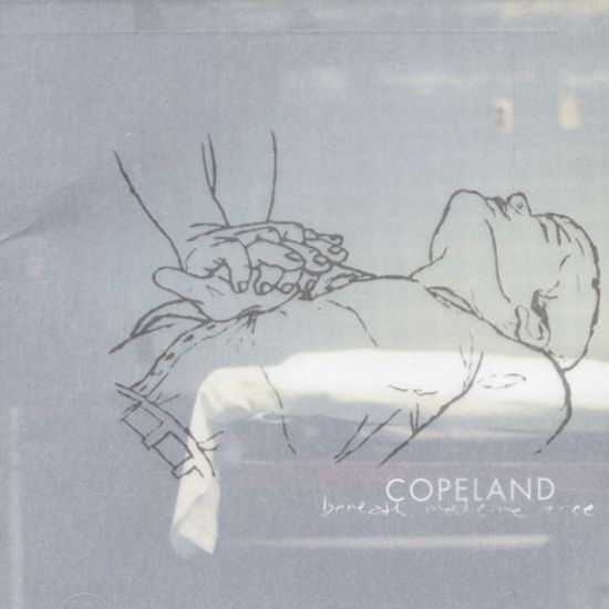 BENEATH MEDICINE TREE