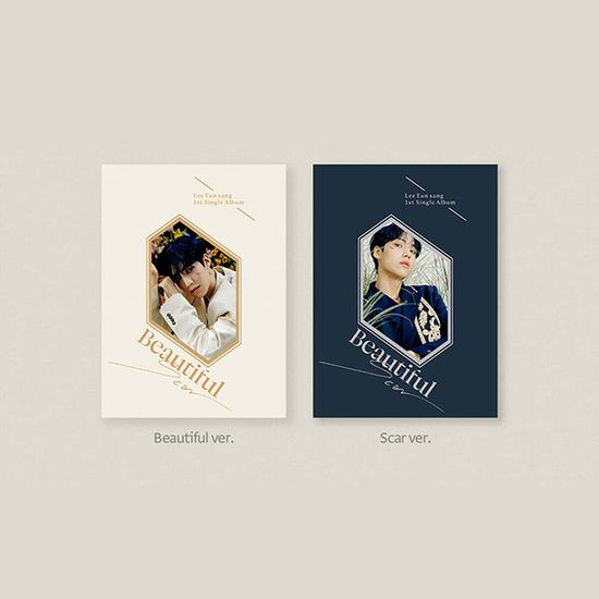 BEAUTIFUL SCAR [싱글 1집]