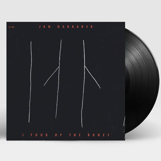 I TOOK UP THE RUNES [180G LP]