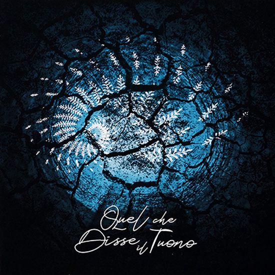 IL VELO DEI RIFLESSI