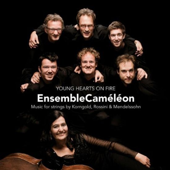 YOUNG HEARTS ON FIRE/ ENSEMBLECAMELEON