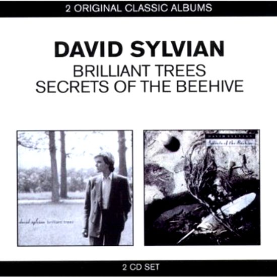 BRILLIANT TREES & SECRETS OF THE BEEHIVE [2 ORIGINAL CLASSIC ALBUMS]