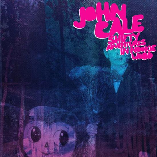 SHIFTY ADVENTURES IN NOOKIE WOOD