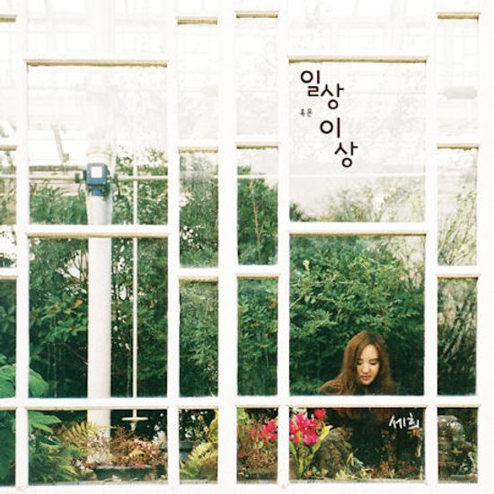 일상 혹은 이상