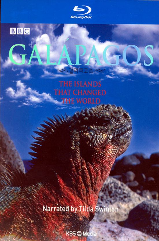 갈라파고스: BBC 다큐멘터리 [12년 6월 이엔이미디어 할인행사]