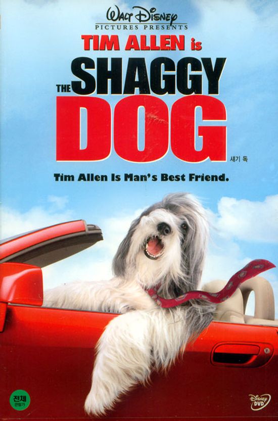 섀기 독 [THE SHAGGY DOG] [09년 4월 DOG시리즈 행사]