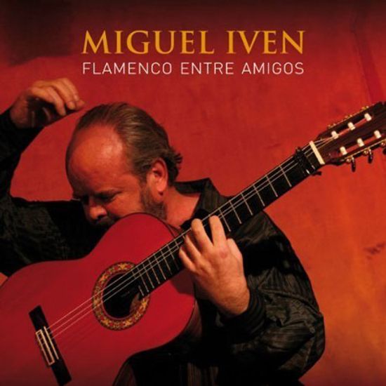 FLAMENCO ENTRE AMIGOS