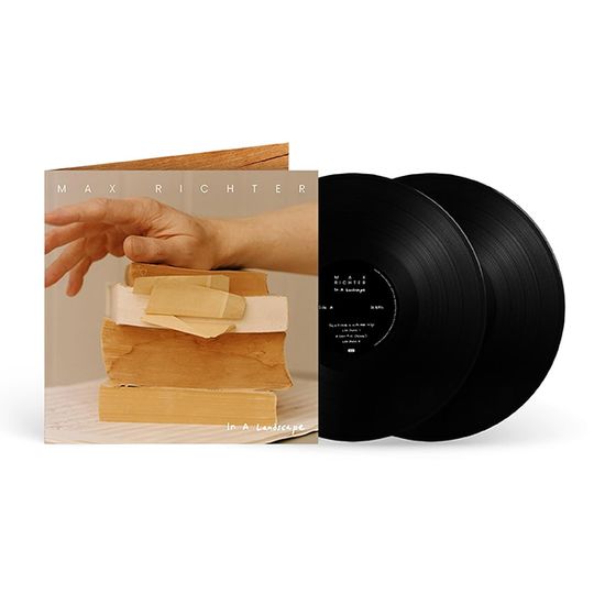 IN A LANDSCAPE [LP] [막스 리히터: 풍경속으로]