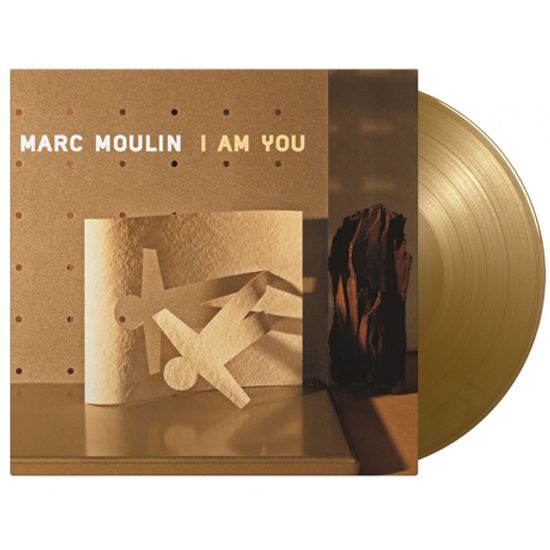 I AM YOU [180G GOLD LP]