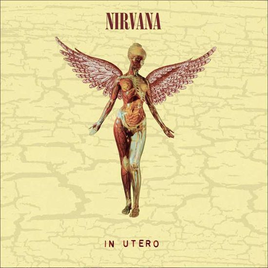 IN UTERO [30TH ANNIVERSARY] [DELUXE REMASTERED]