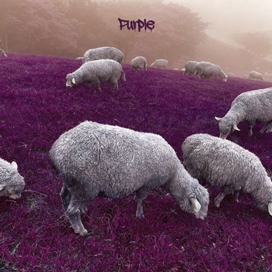 PURPLE [EP]