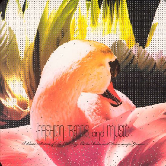 FASHION TRENDS AND MUSIC [패션 트렌드 앤 뮤직]