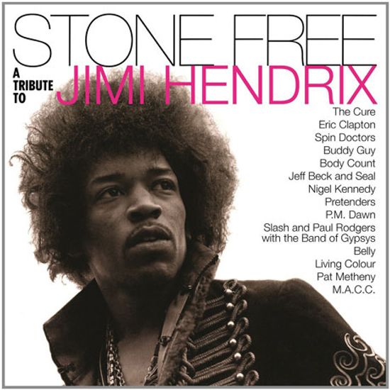 STONE FREE: A TRIBUTE TO JIMI HENDRIX [LIMITED EDITION] [180G LP]