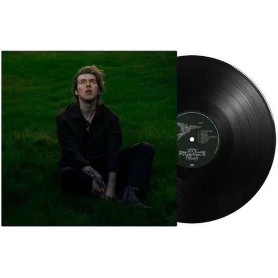 A HOMETOWN ODYSSEY [LP]