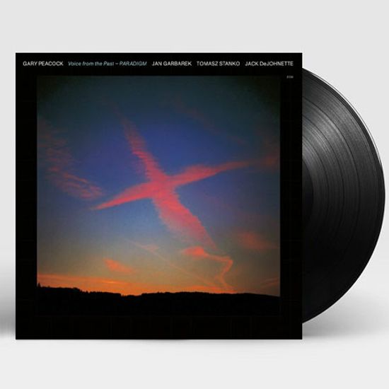 VOICE FROM THE PAST - PARADIGM [DOWNLOAD CODE] [180G LP]