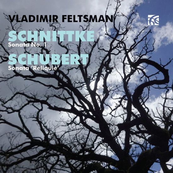 PIANO SONATAS/ VLADIMIR FELTSMAN [슈베르트 & 슈니트케: 피아노 소나타]
