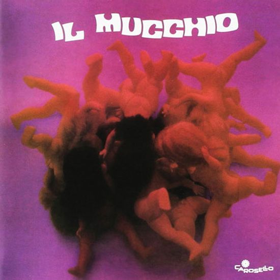 IL MUCCHIO [PAPERSLEEVE]