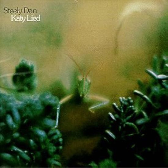 KATY LIED