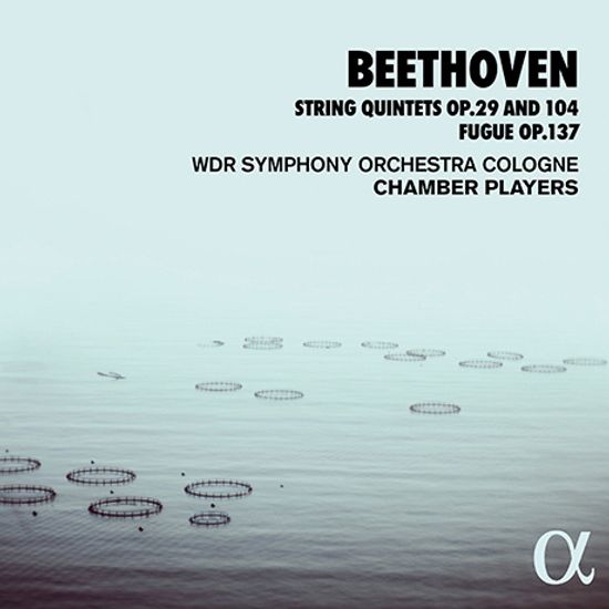 STRING QUINTETS OP.29 & 104, FUGUE OP.137/ WDR SINFONY ORCHESTERA COLOGNE CHAMBER PLAYERS [베토벤: 현악 5중주, 푸가 - 쾰른 서독일 라디오 심포니 오케스트라 체임버 플레이어스]