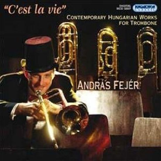 C`EST LA VIE/ ANDRAS FEJER