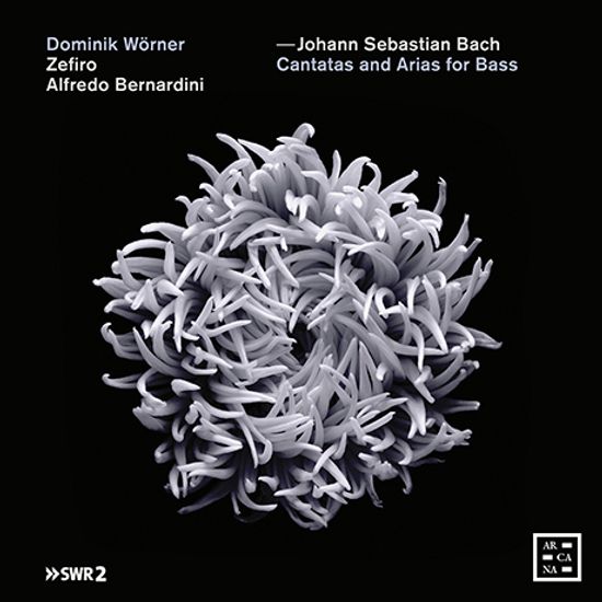 CANTATAS AND ARIAS FOR BASS/ DOMINIK WORNER, ZEFIRO, ALFREDO BERNARDINI [바흐: 베이스를 위한 칸타타와 아리아 - 도미니크 뵈르너, 제피로 앙상블, 베르나르디니]