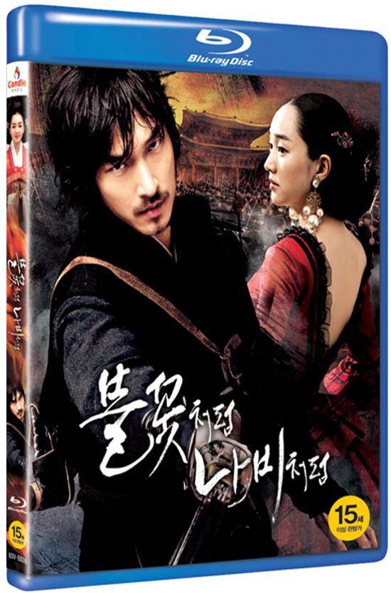 불꽃처럼 나비처럼