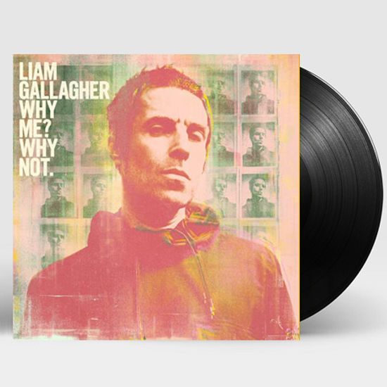 WHY ME? WHY NOT. [LP]