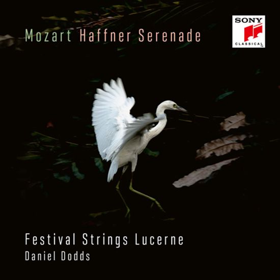 HAFFNER-SERENADE/ FESTIVAL STRINGS LUCERNE, DANIEL DODDS [모차르트: 하프너 세레나데, 행진곡 - 루체른 페스티발 스트링스]