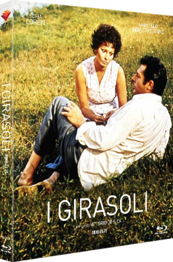 해바라기 [I GIRASOLI]