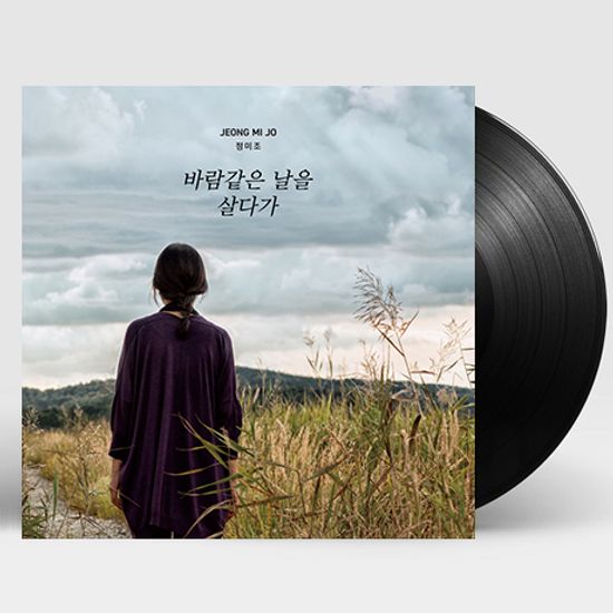 바람같은 날을 살다가 [180G LP]