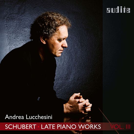 LATE PIANO WORKS VOL.3/ ANDREA LUCCHESINI [슈베르트: 후기 피아노 작품 3집 소나타 D894, 958- 안드레아 루케시니]