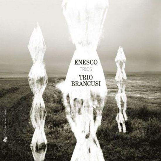 TRIOS/ TRIO BRANCUSI