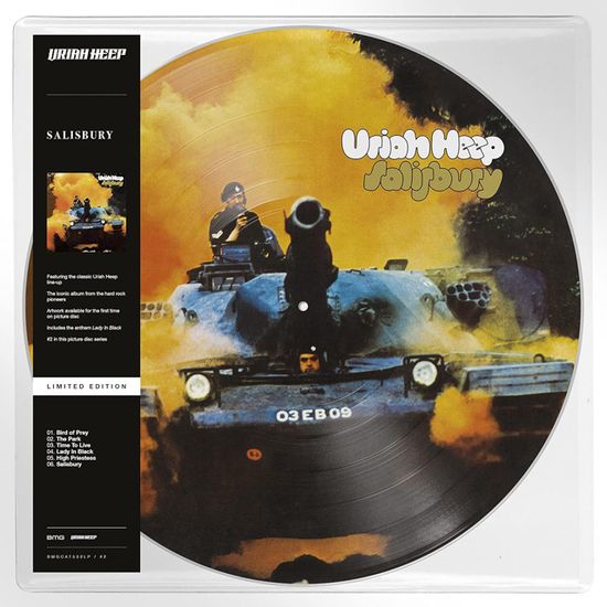 SALISBURY [PICTURE LP]