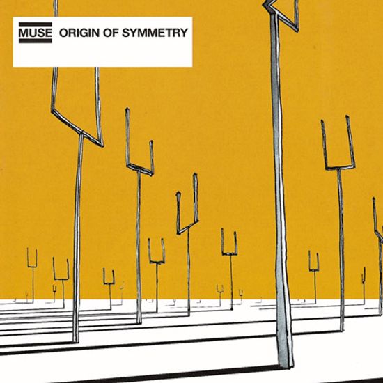 ORIGIN OF SYMMETRY