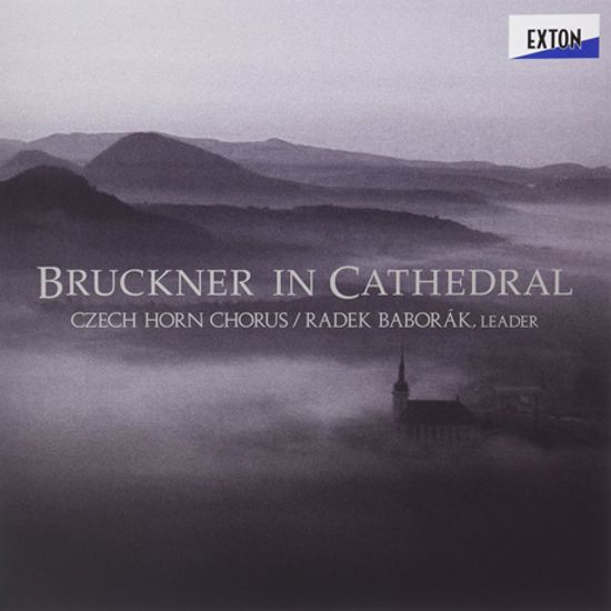 BRUCKNER IN CATHEDRAL/ CZECH HORN CHORUS [180G LP] [브루크너: 교향곡 7번 2악장 아다지오, 빈트 하거 미사곡 & 모테트 - 호른 앙상블 편곡반] [한정반]