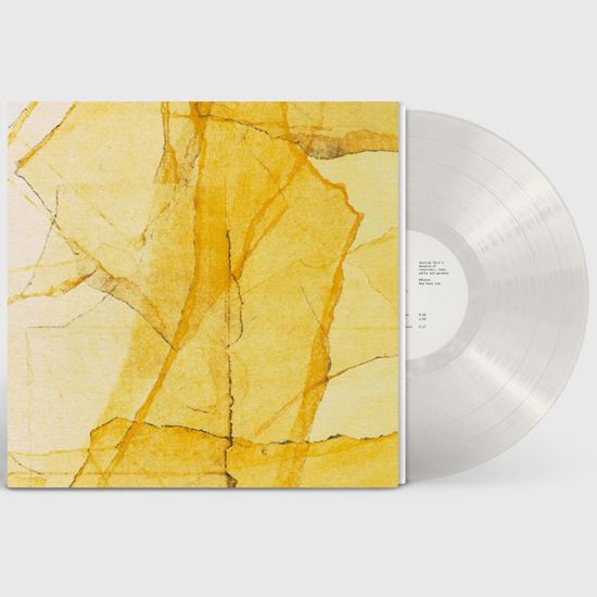 CENTRAL PARK`S MOSAICS OF RESERVOIR, LAKE, PATHS AND GARDENS [180G CLEAR LP]