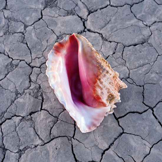 WONDERFUL WONDERFUL [딜럭스반]