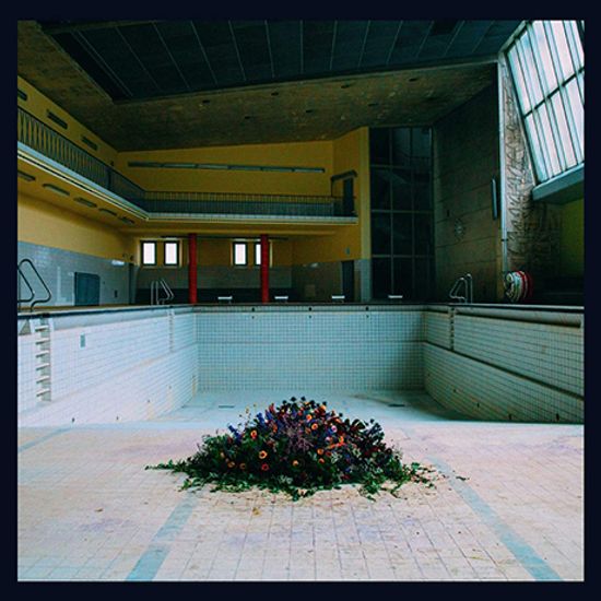 CALL IN THE CRASH TEAM