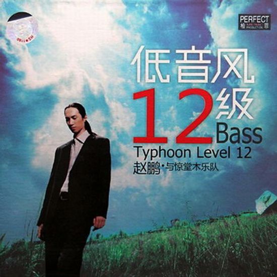 12 BASS TYPHOON LEVEL