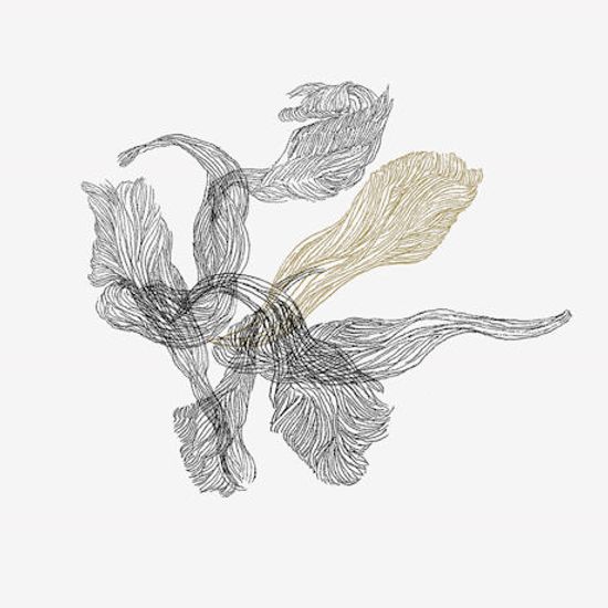 회자정리 거자필반