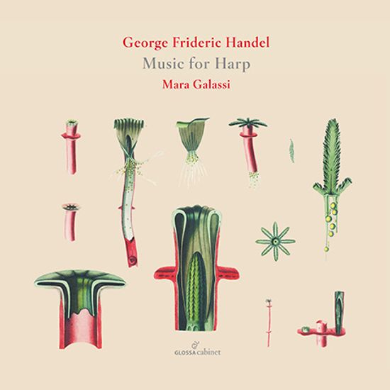 MUSIC FOR HARP/ MARA GALASSI [GLOSSA CABINET] [헨델: 하프 작품집 - 마라 갈라시]