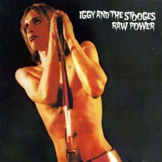 RAW POWER [180G LP]