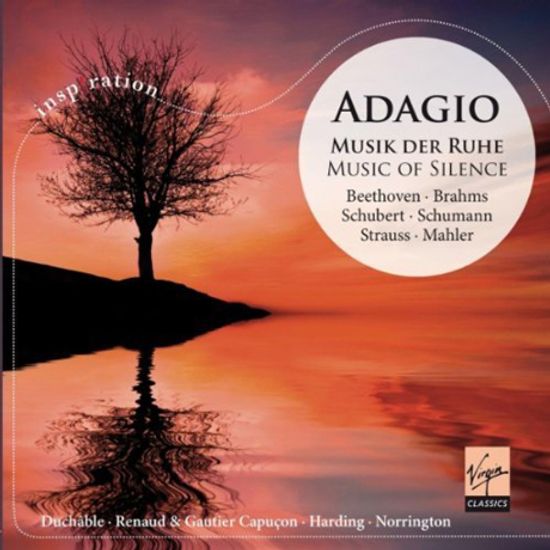 ADAGIO: MUSIK DER RUHE/ ROGER NORRINGTON [INSPIRATION]