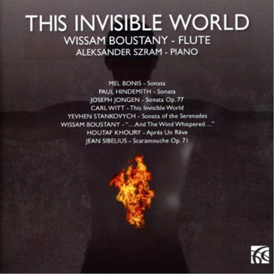 THIS INVISIBLE WORLD/ ALEKSANDER SZRAM