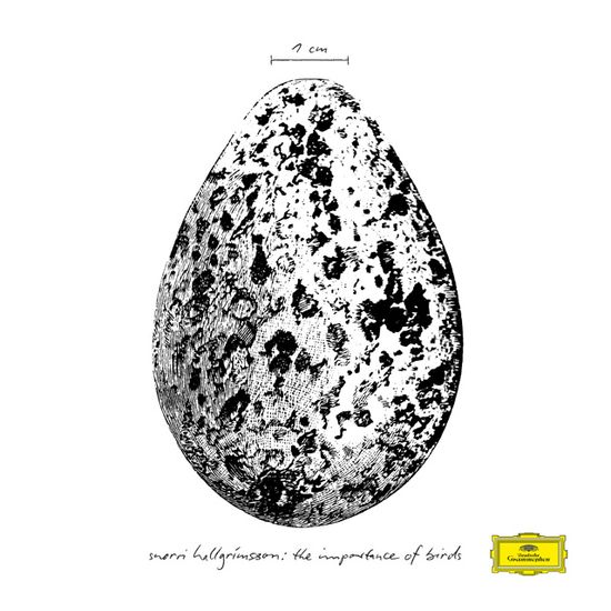 THE IMPORTANCE OF BIRDS [LP]