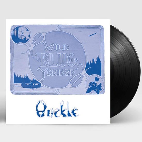 WILD BLUE YONDER [LP] [한정반]