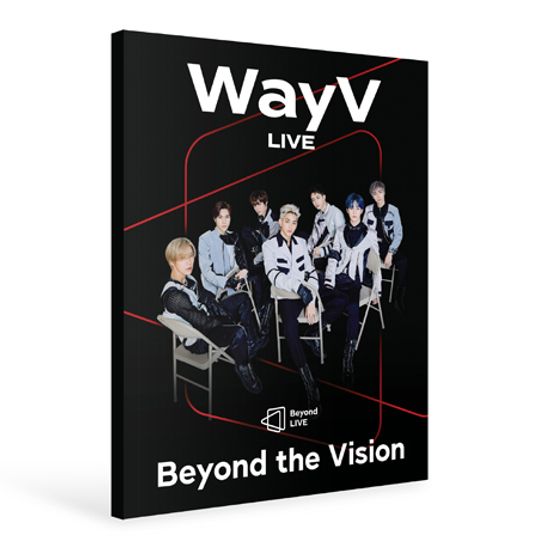 BEYOND THE VISION [BEYOND LIVE 사진집]